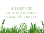 Intensyvus_lietuviu_kalbos_vasaros_kursai_lingua_lituanica_2.png