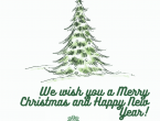 We_wish_you_a_Merry_Christmas_and_Happy_New_Year_.png